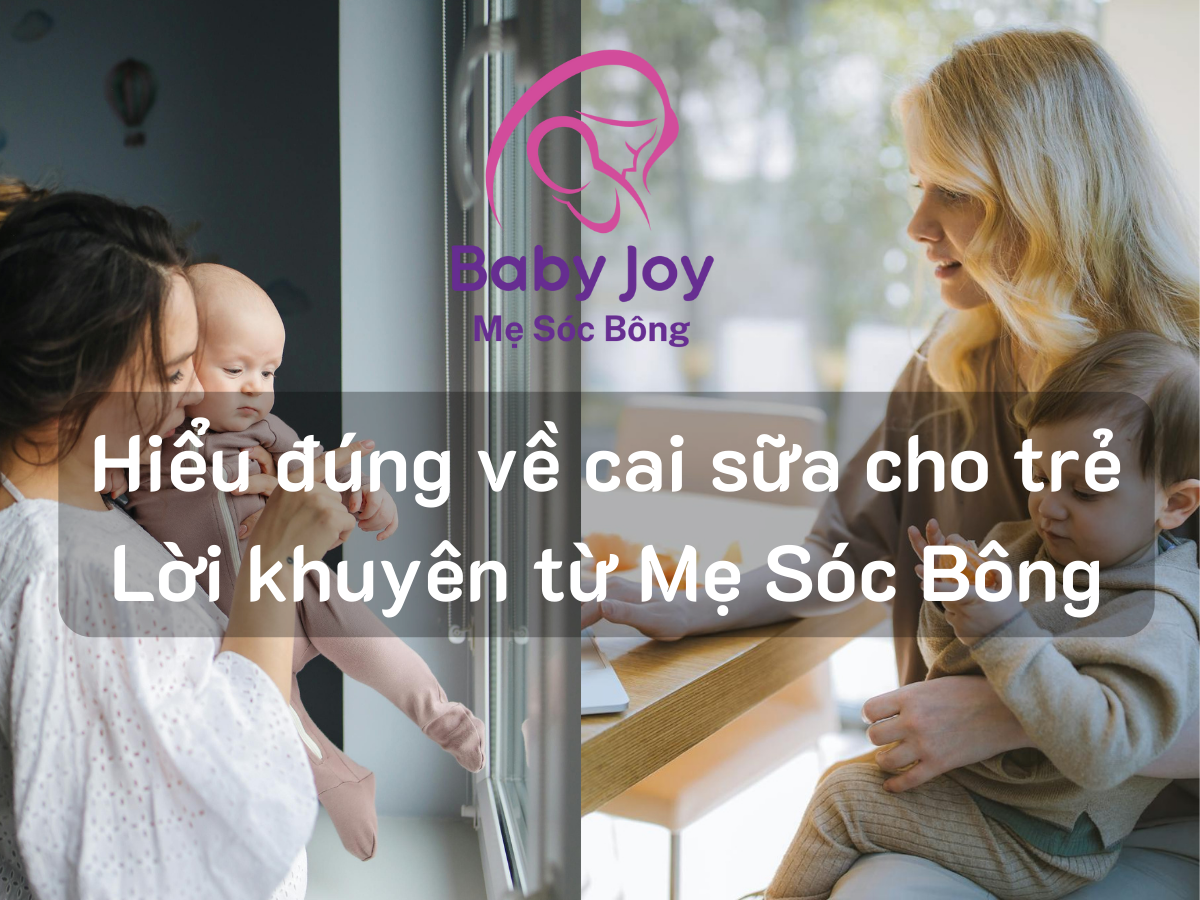 Hiểu đúng về cai sữa cho trẻ Lời khuyên từ Mẹ Sóc Bông