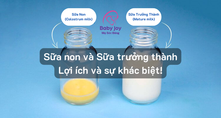 Sữa Non và Sữa Trưởng thành