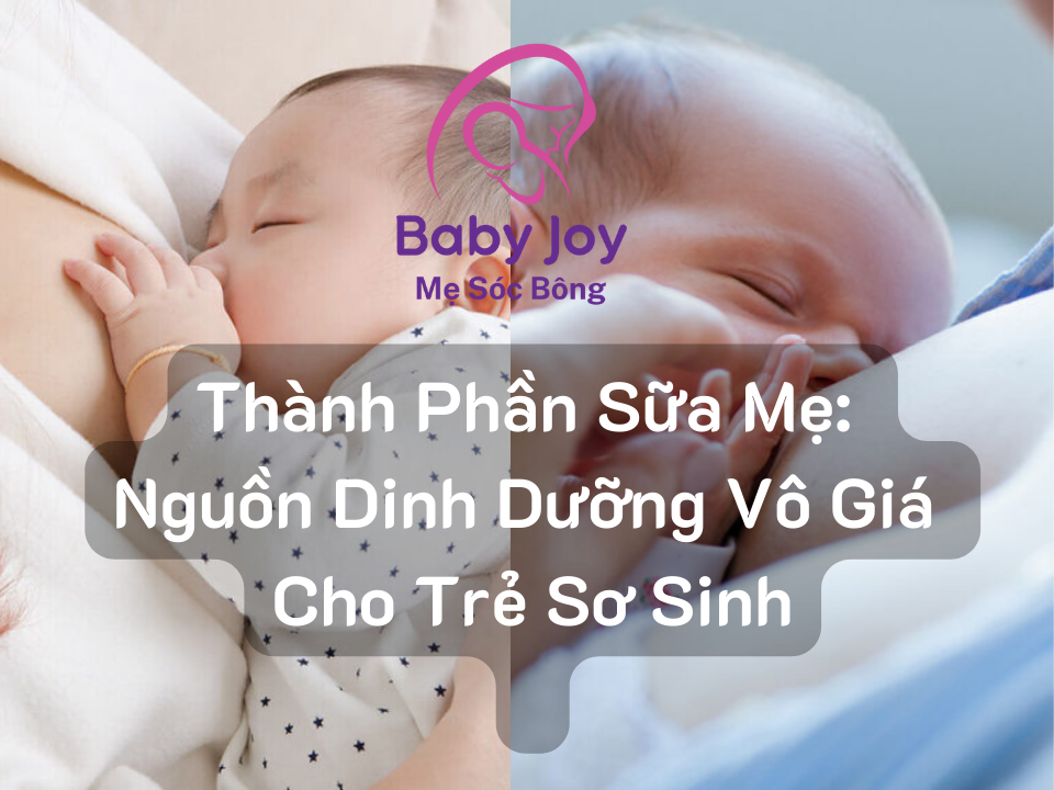 Thành Phần Sữa Mẹ Nguồn Dinh Dưỡng Vô Giá Cho Trẻ Sơ Sinh